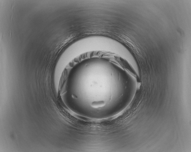 X0000116140264200912071249