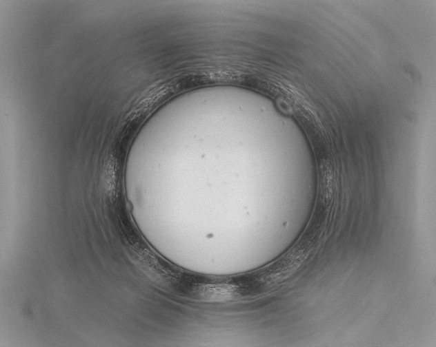 X0000116140266200912071249