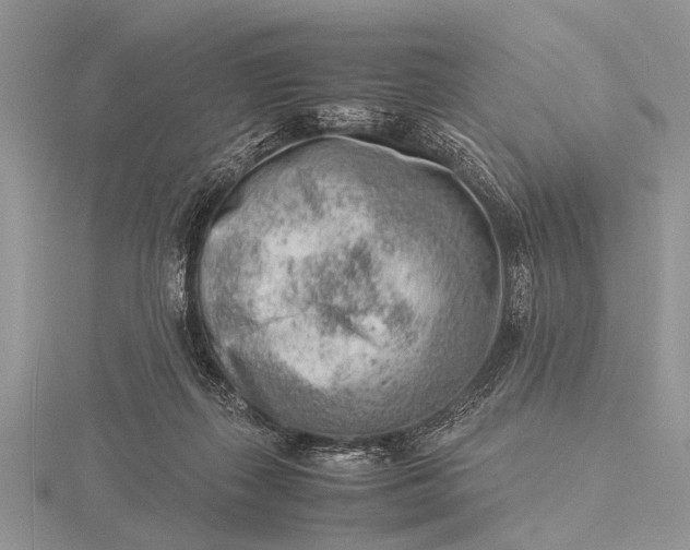 X0000116140267200912071249