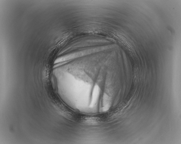 X0000116140268200912071249