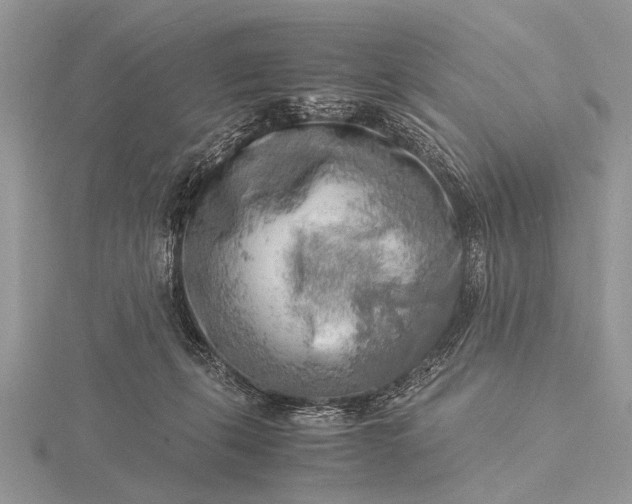 X0000116140271200912071249