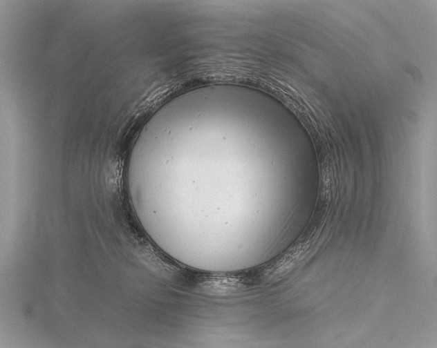 X0000116140278200912071249