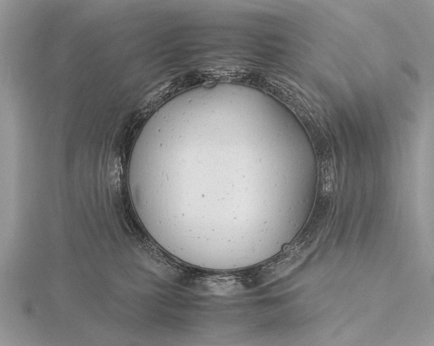 X0000116140279200912071249