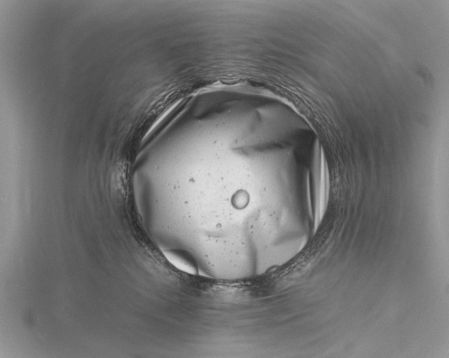 X0000116140280200912071249