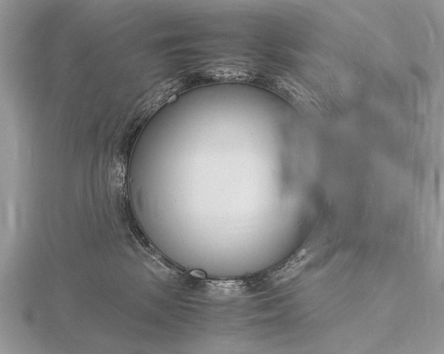 X0000116140281200912071249