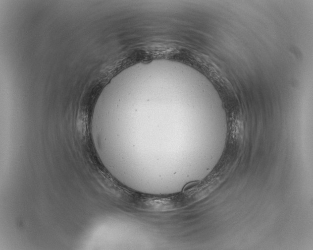 X0000116140283200912071249