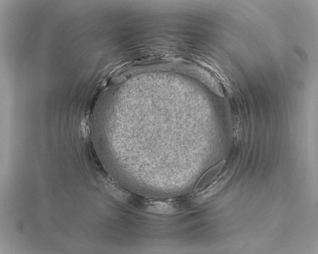 X0000116140285200912071249