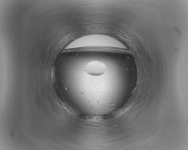 X0000116140288200912071249