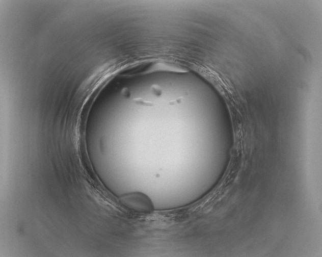 X0000116140290200912071248