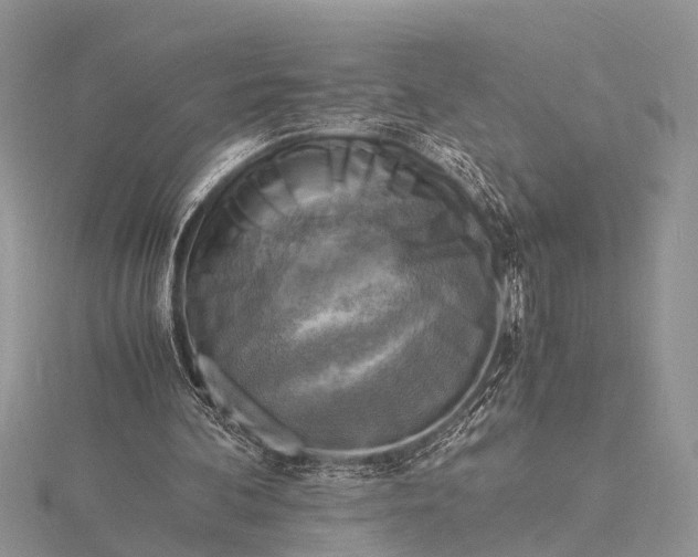 X0000116140292200912071248