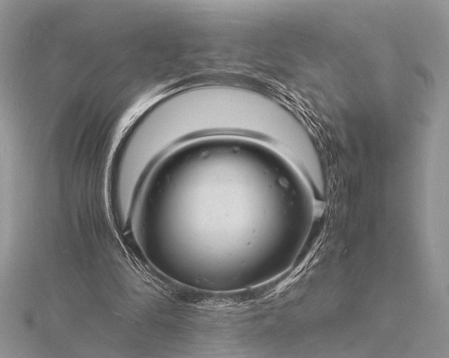 X0000116140294200912071248