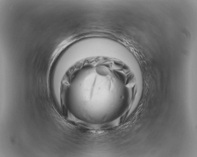 X0000116140296200912071248