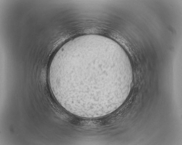 X0000116140297200912071248