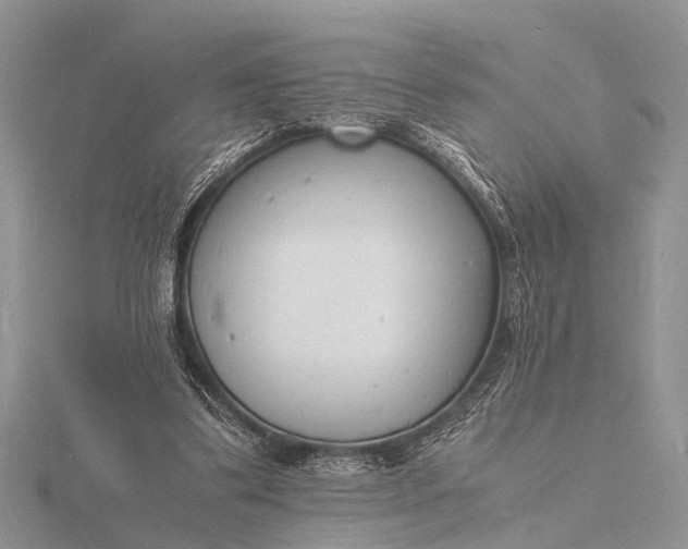 X0000116140299200912071248