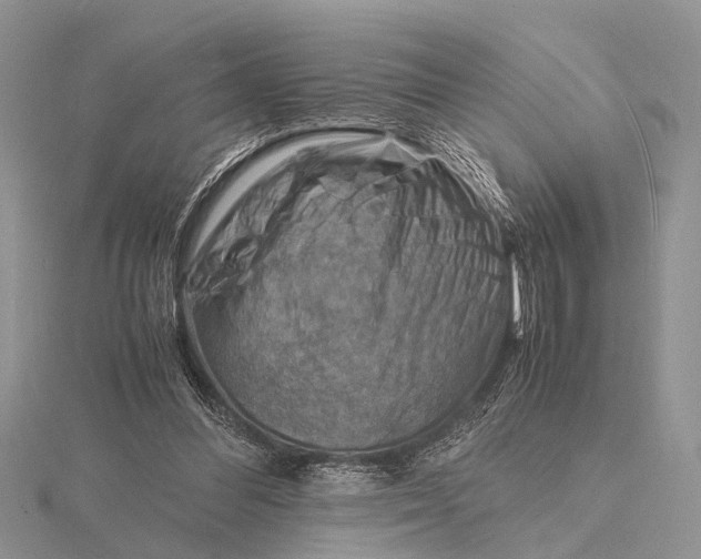 X0000116140300200912071248