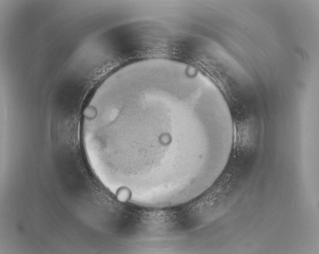 X0000116140301200912071248