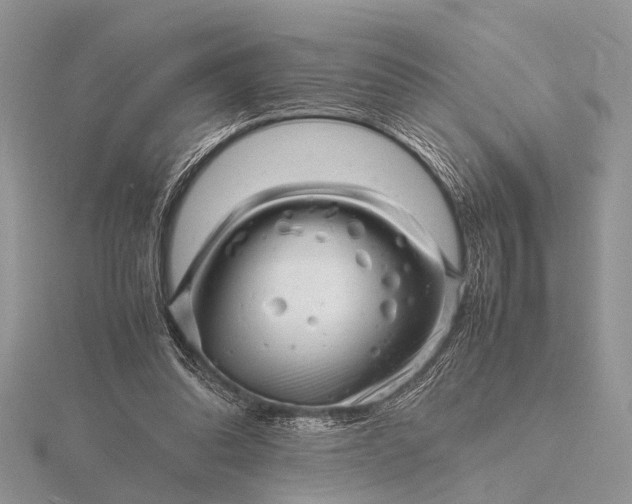 X0000116140302200912071248