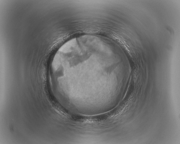 X0000116140303200912071248