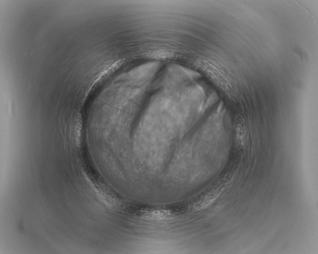 X0000116140304200912071248