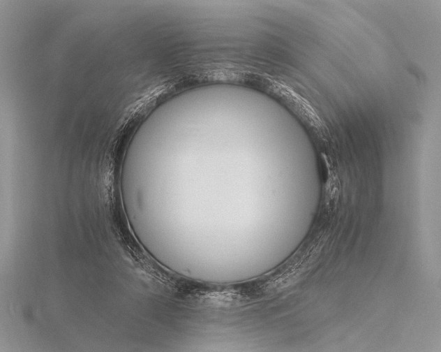 X0000116140306200912071248