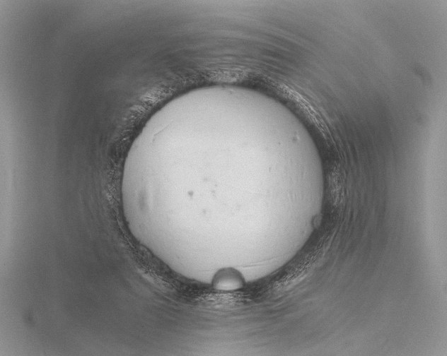 X0000116140307200912071248