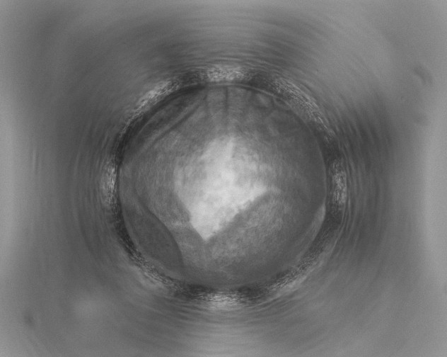 X0000116140308200912071248