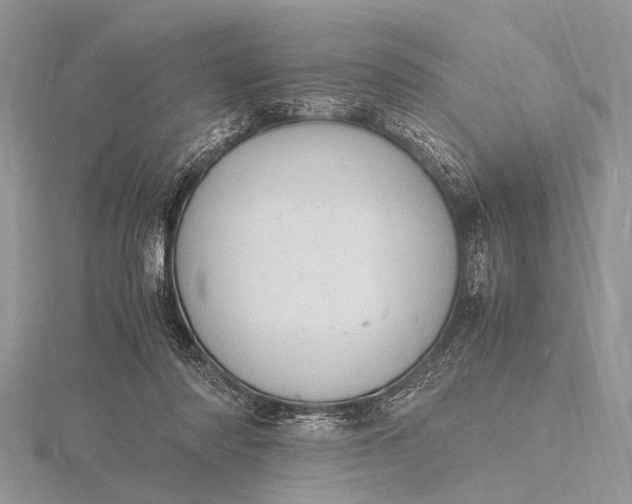 X0000116140310200912071248