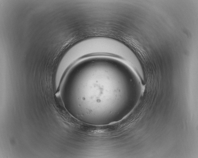 X0000116140312200912071248