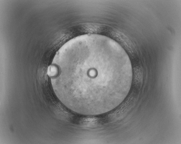 X0000116140313200912071248