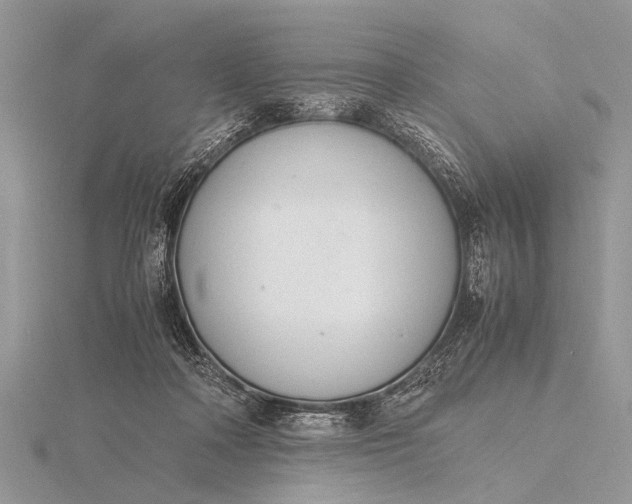 X0000116140314200912071248