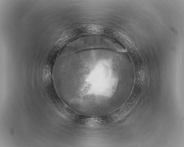 X0000116140320200912071248