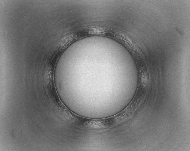 X0000116140322200912071248