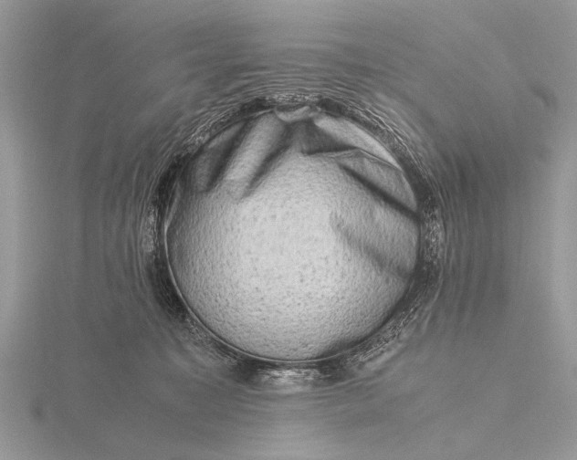 X0000116140323200912071248