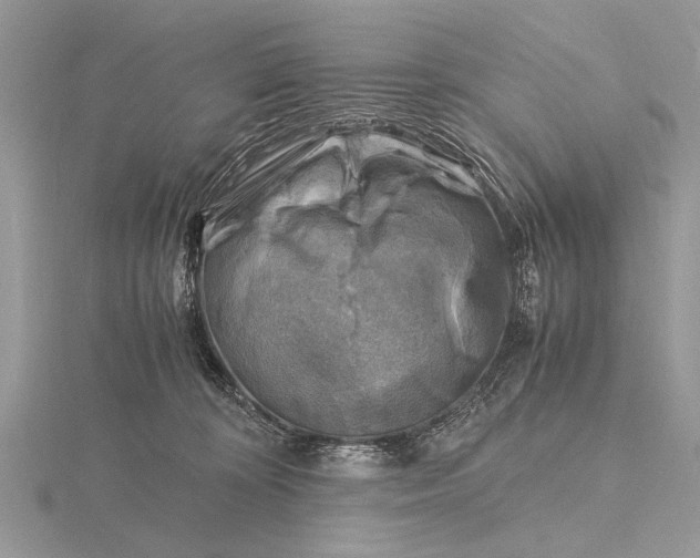 X0000116140324200912071248