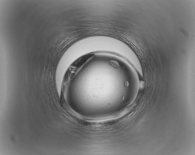 X0000116140325200912071248