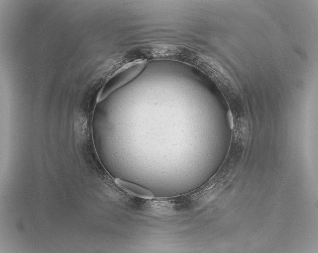 X0000116140327200912071248