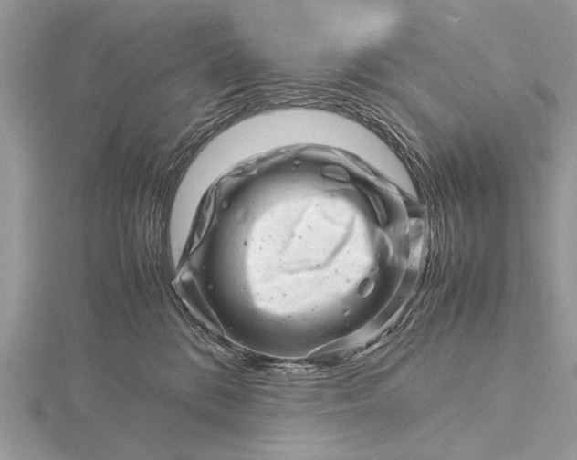 X0000116140328200912071248