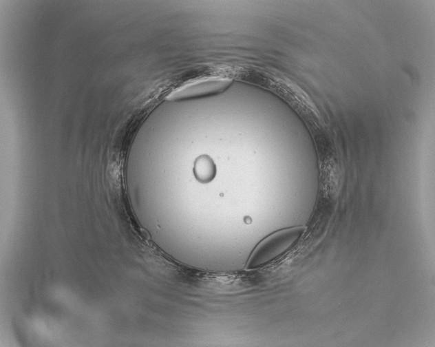 X0000116140329200912071248