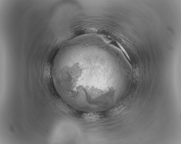 X0000116140331200912071248