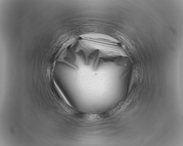 X0000116140333200912071248