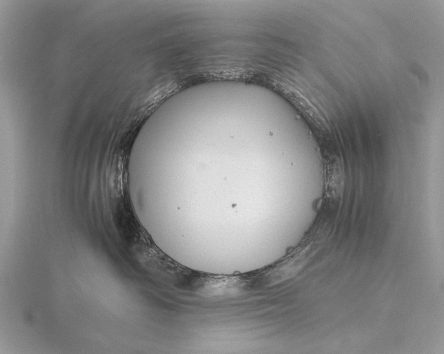 X0000116140334200912071248