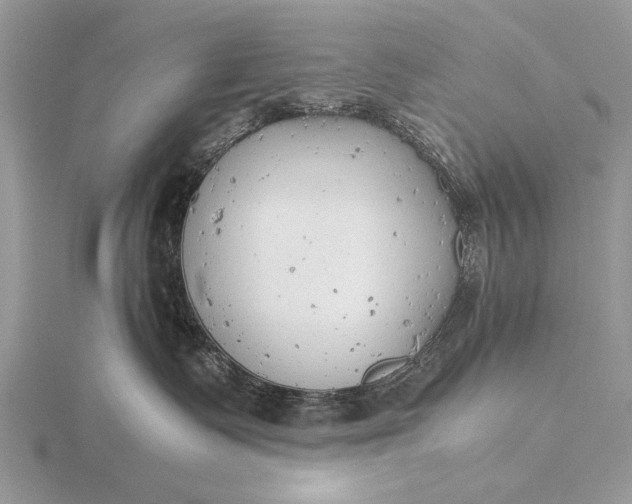 X0000116140335200912071248