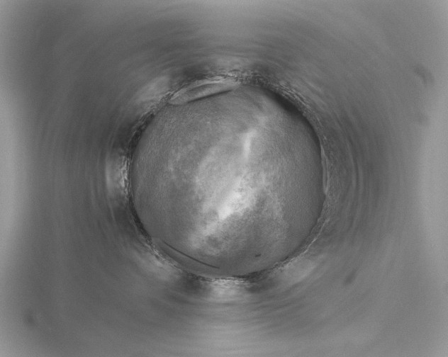 X0000116140336200912071248