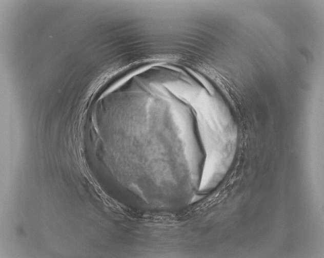 X0000116140337200912071247