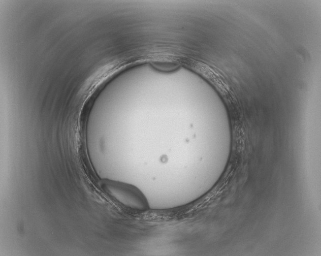 X0000116140338200912071247