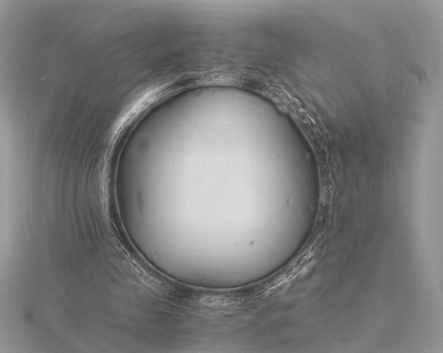 X0000116140341200912071247