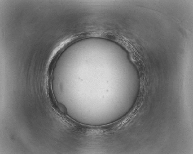 X0000116140342200912071247