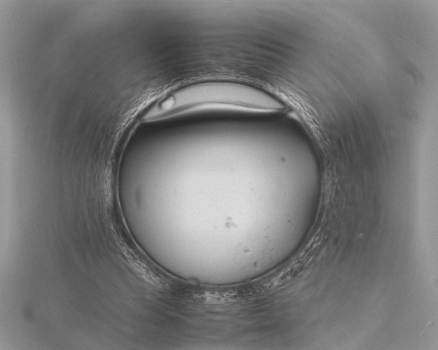 X0000116140345200912071247