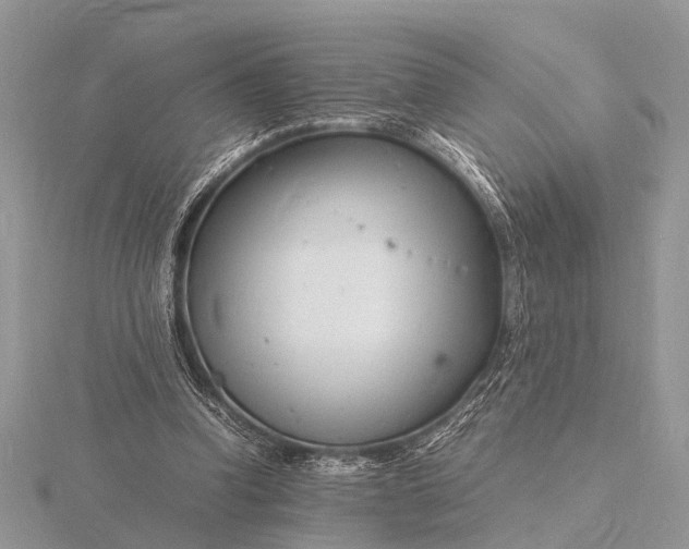 X0000116140346200912071247