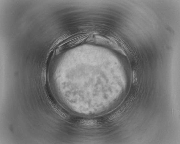 X0000116140349200912071247